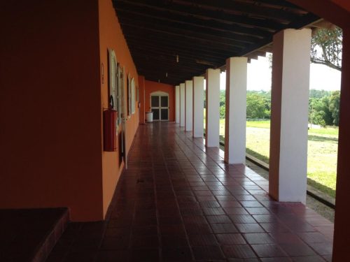 WhatsApp-Image-2026-05-23-at-11.33.37-2